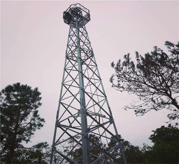 森林防火麻豆视频免费入口