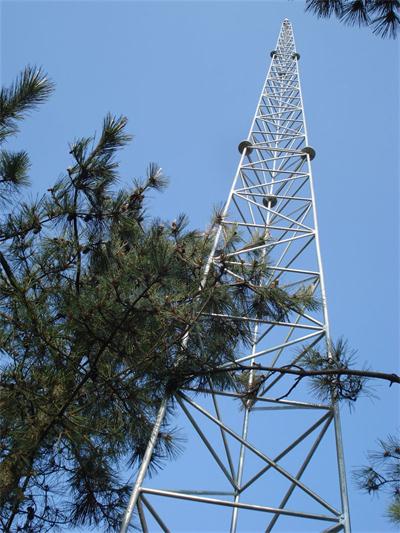 河北楼顶避雷针塔价格