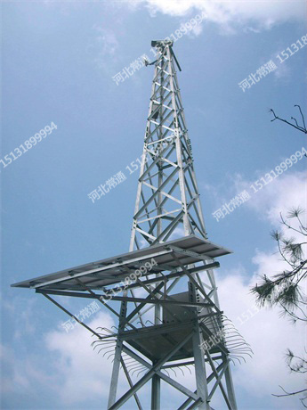 森林麻豆视频免费入口施工注意事项有哪些？