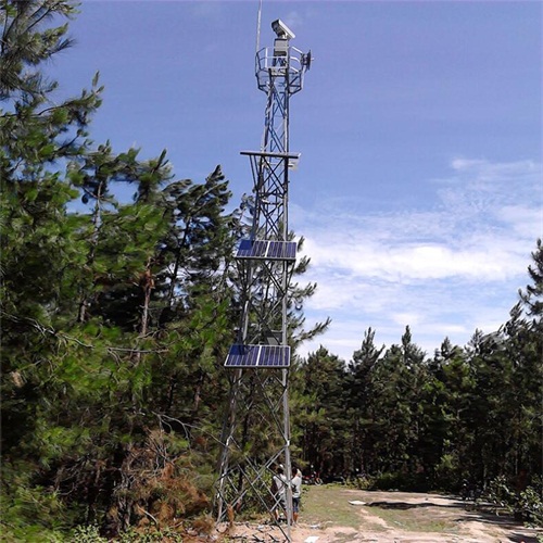 25米麻豆视频免费入口