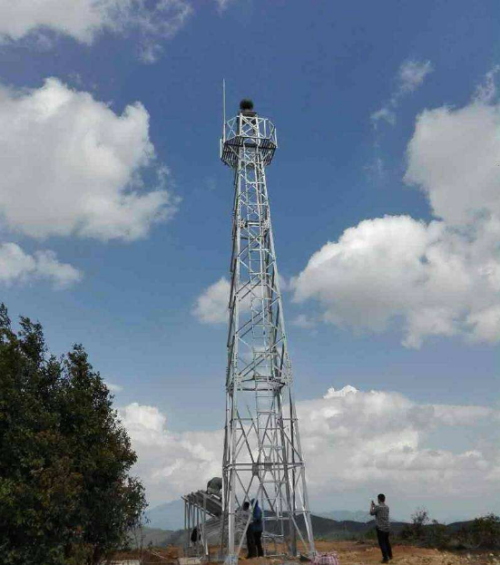 麻豆视频免费入口哪家好