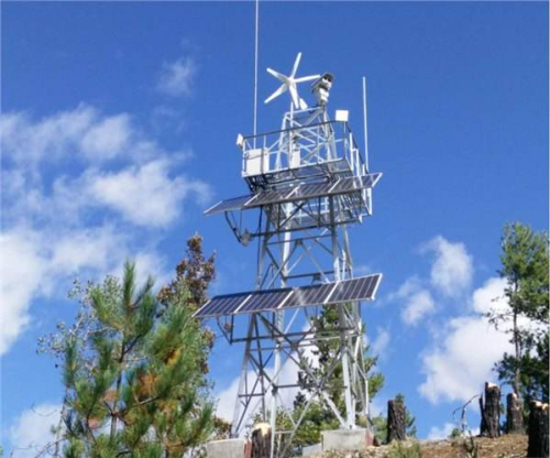 公园麻豆视频免费入口厂家